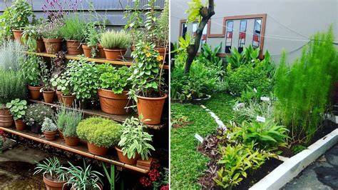 Contoh Desain Taman Toga IMAGESEE