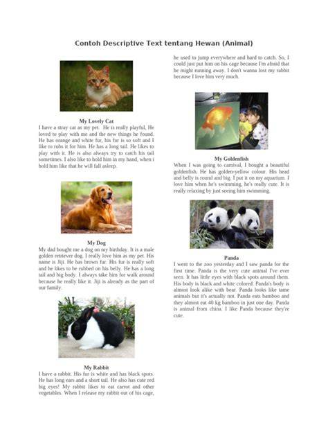 Contoh Descriptive Text Tentang Hewan Panda
