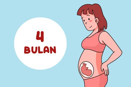 Contoh Gambar Perut Hamil 4 Bulan