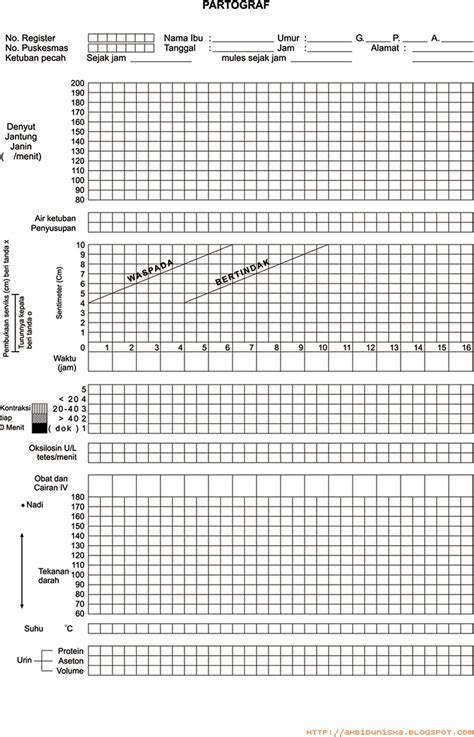 Contoh Partograf