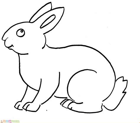 Contoh Sketsa Hewan