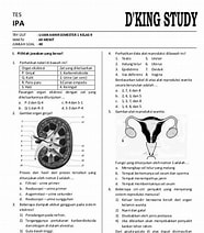 Contoh Soal IPA Kelas 9