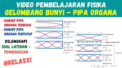 Contoh Soal Pipa Organa