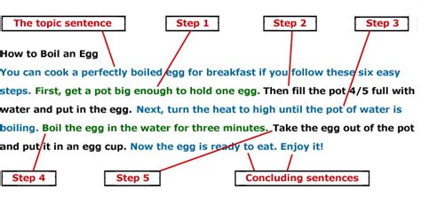Contoh Soal Topic Sentence