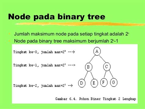 Contoh Soal Tree Struktur Data