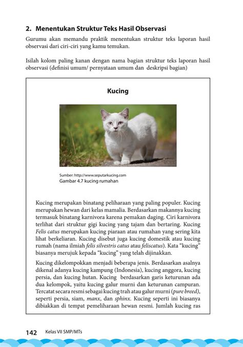 Contoh Teks Deskripsi Tentang Hewan Peliharaan Kucing