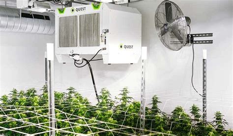 Controlling Humidity in a Grow Tent