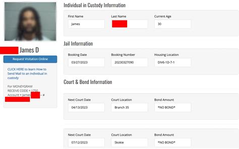 Uncovering the Fate of Loved Ones: Cook County Inmate Search