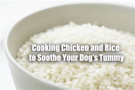 Cooking Chicken And Rice For Dogs