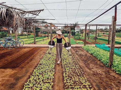 Cooking Station Tra Que Vegetable Farm