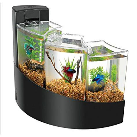 Cool Betta Fish Tanks