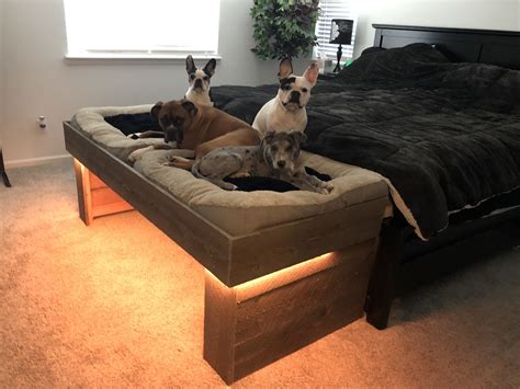 Cool Diy Bed For Dogs