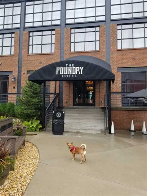 Cool Dog Friendly North Loop The Foundry