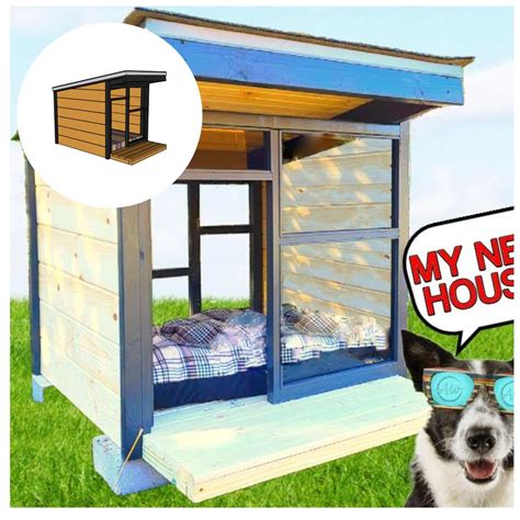 Cool Dog Kennel Design