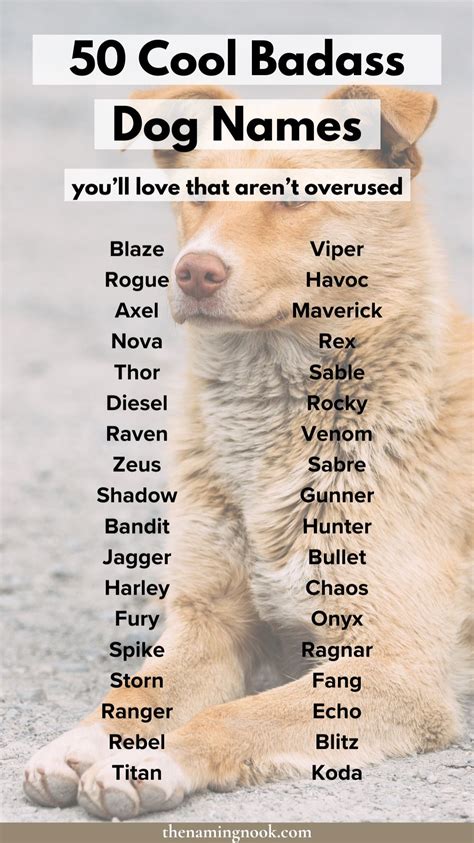 Cool Dog Names
