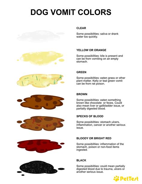 Cool Dog Yellow Vomit