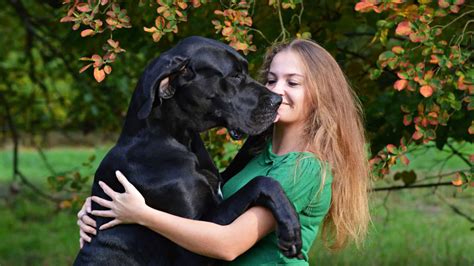 Cool Dogs That Cuddle