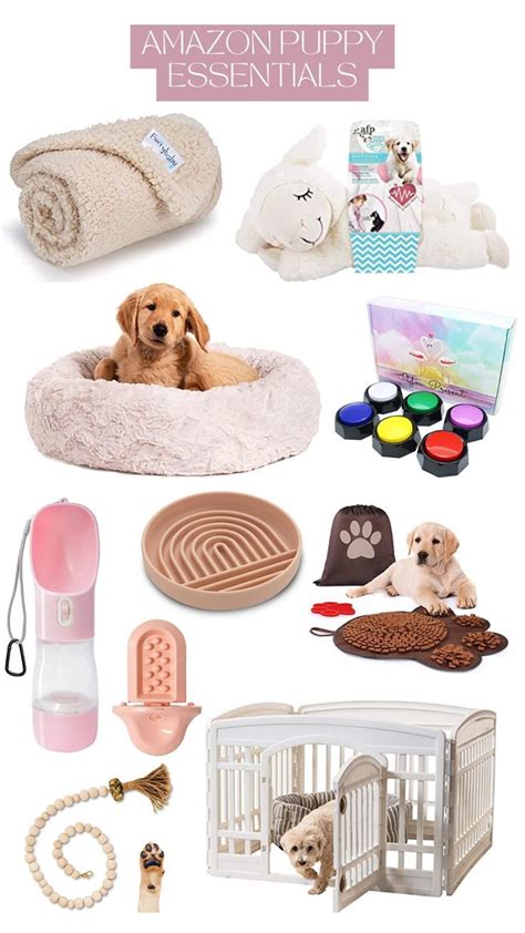 Cool Essentials For A Puppy