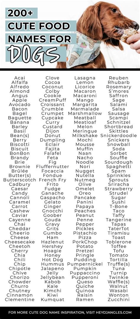 Cool Food Dog Names