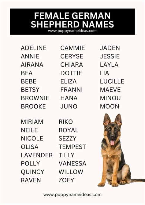 Cool German Shepherd Female Names