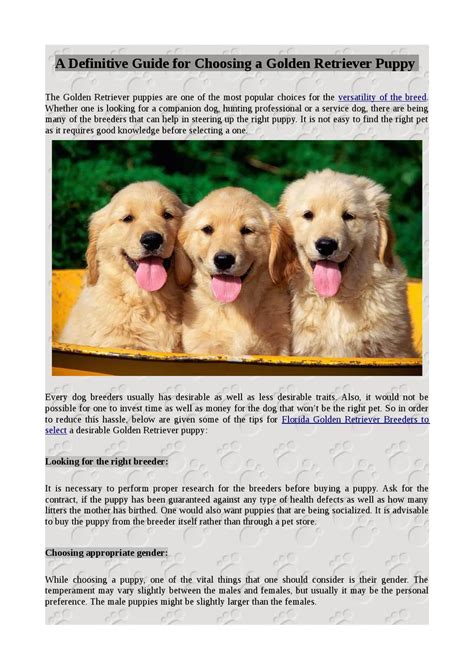 Cool Good Dogs Guide Choosing Breeder