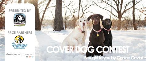 Cool January 2019 Cover Dog Contest