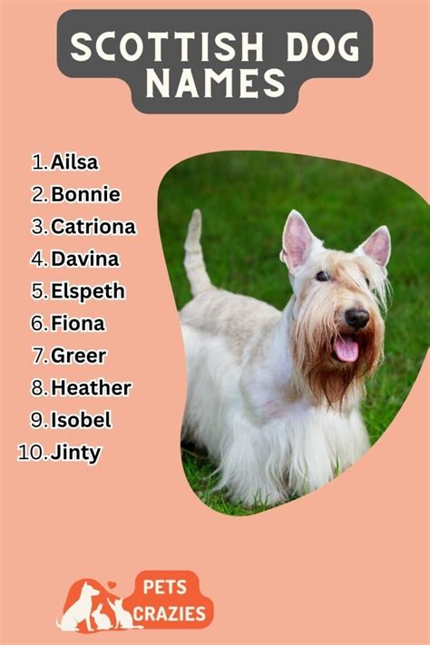 Cool Scottish Dog Names Female