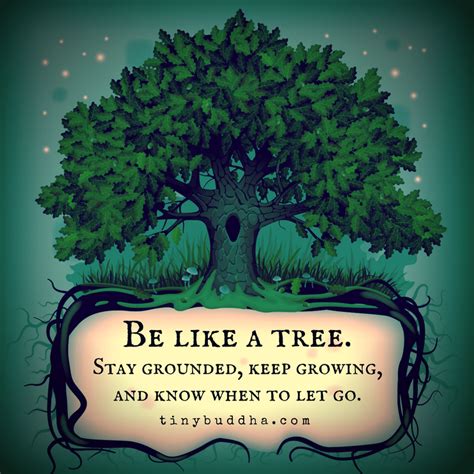 Cool Shady Tree Quotes