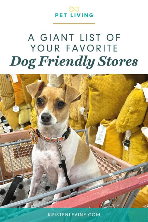Cool Stores That Allow Dogs