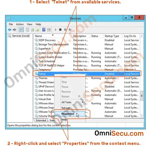 Cool Telnet Services