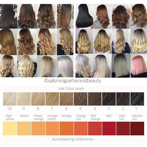 Cool Tone Hair Color Chart