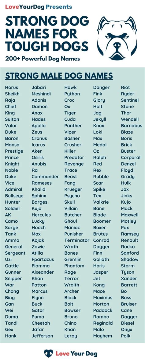 Cool Tough Dog Names