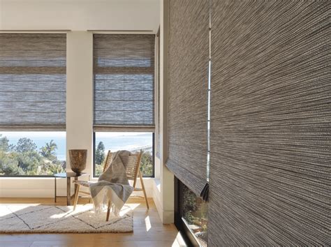 Cool Window Shades