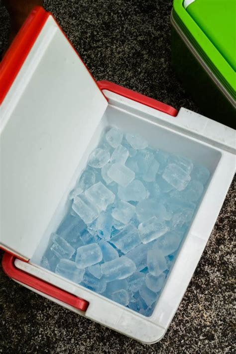 Cooler and Ice