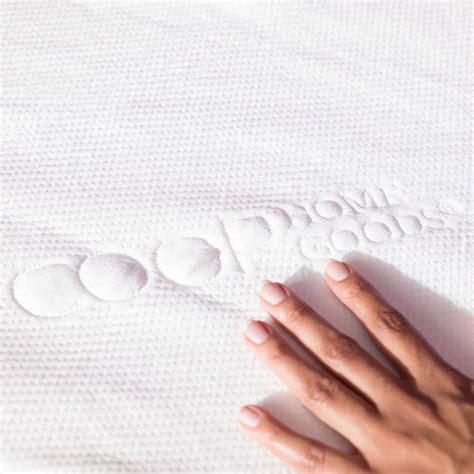 Coop Home Goods Mattress Protector Review