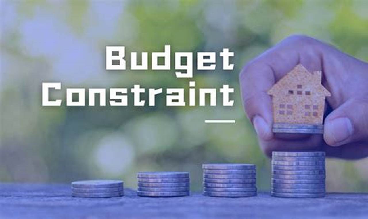Coping with budget constraints
