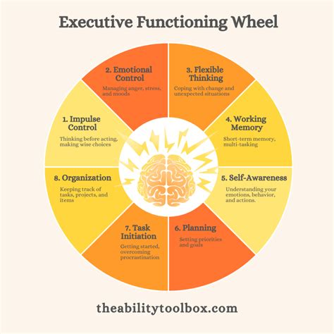 Coping with Executive Function Impairment