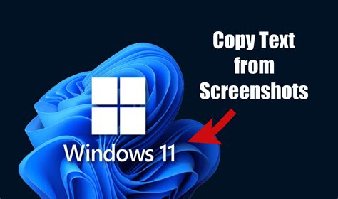 Copy Text from Screenshots on Windows 11