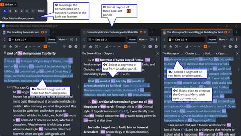 Copy and paste capability