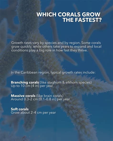 Coral Beauty: Discover the Mesmerizing Phenomenon of Coral Growing on Skin