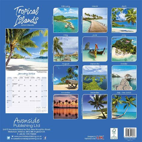 Coral Island Calendar