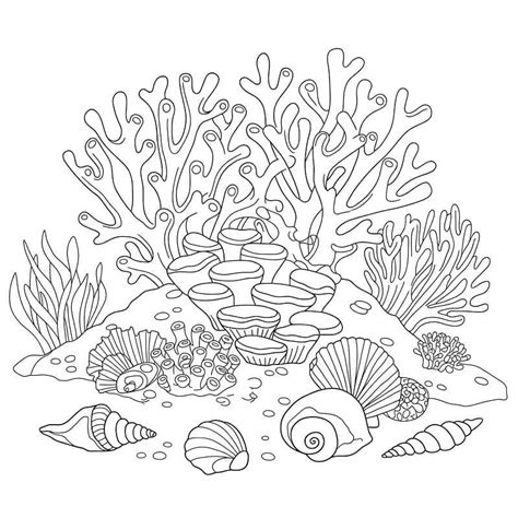 Coral Reef Coloring Page