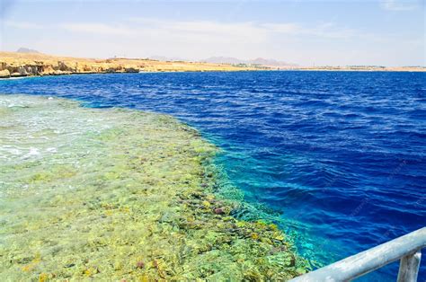 Coral Reef Egypt