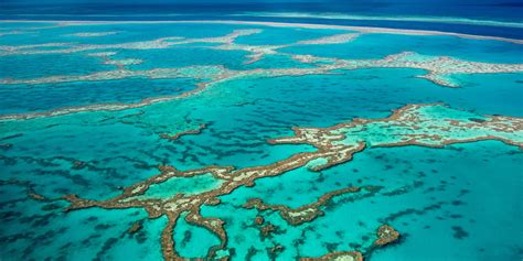 Coral Reef From Above