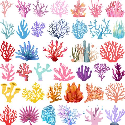 Dive into a world of beauty with Coral Reef SVG – The Ultimate Resource for Stunning Crafts!