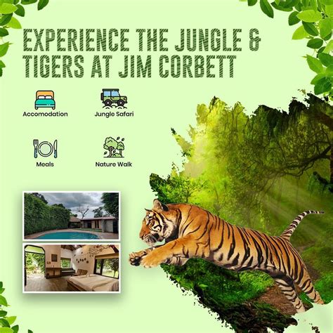 Corbett Tour Packages