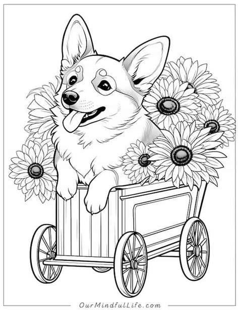 Corgi Coloring Pages
