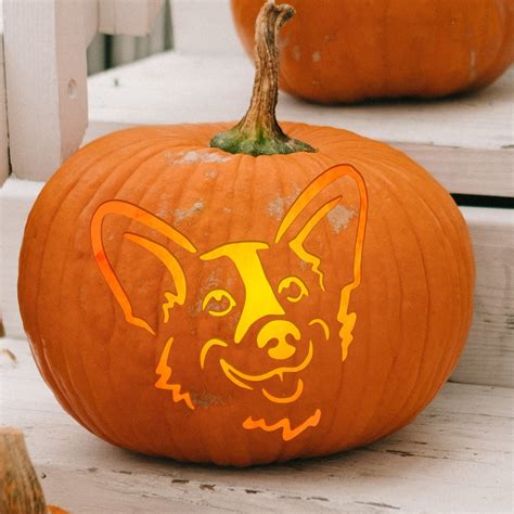 Corgi Pumpkin Pattern