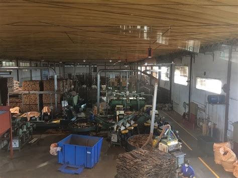 Cork Factory Portugal