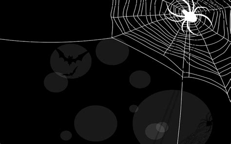 Corner Spider Web Wallpaper